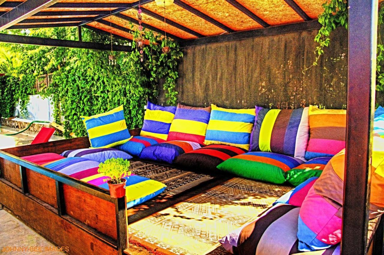 Daire Paddys Ovacık *